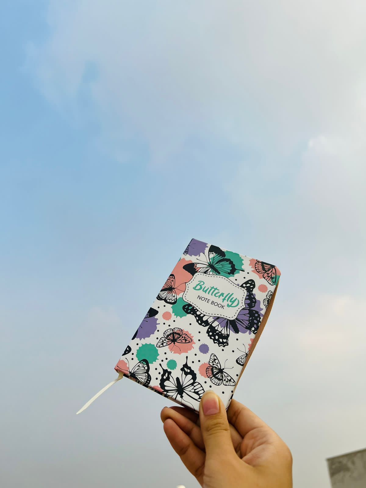 Butterfly Diary