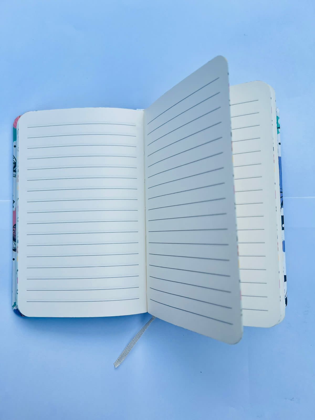 Butterfly Diary