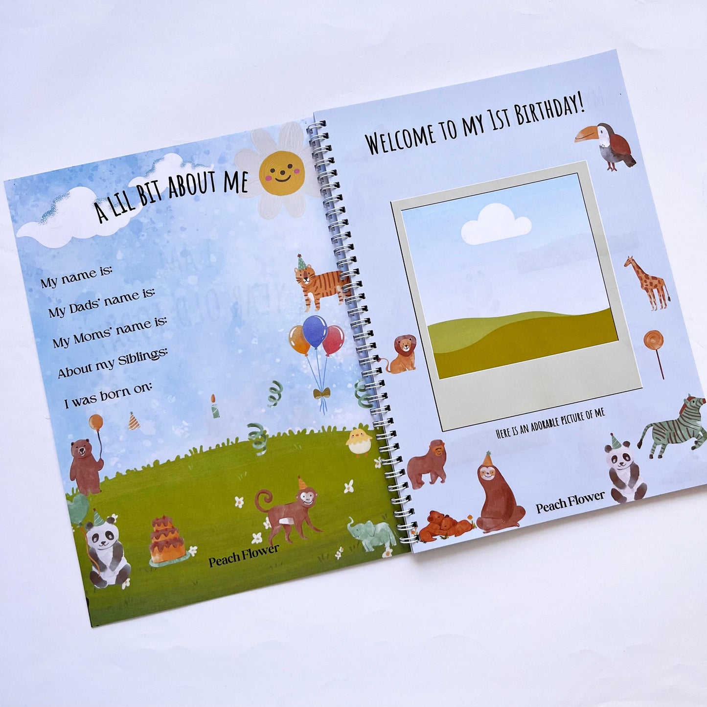 My First Birthday Party Planner