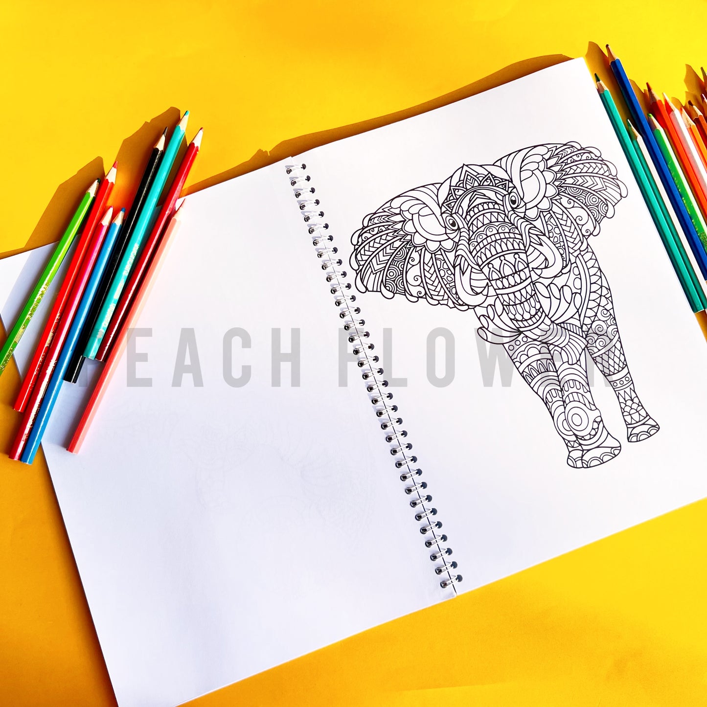 Adult Coloring Book: Animal Version 2 in 1