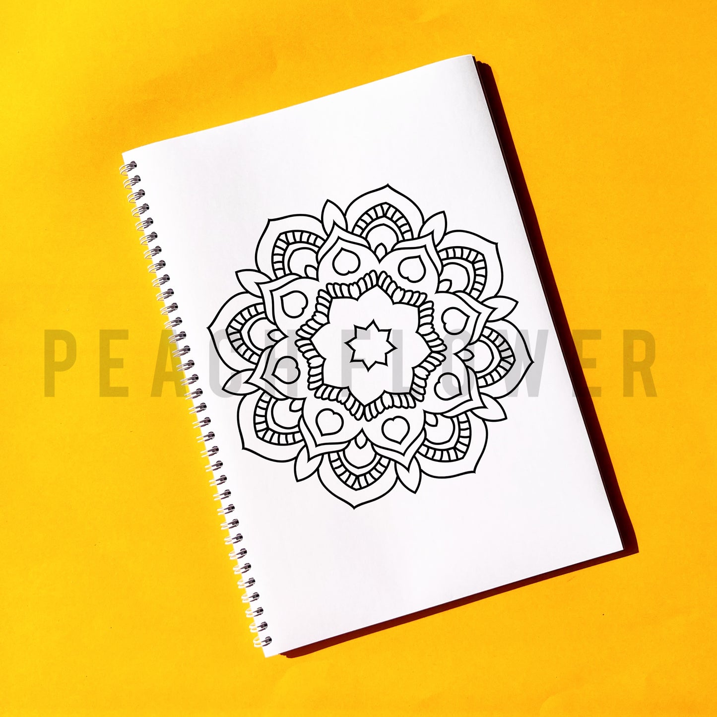 Adult Coloring Book: Mandala Version 2 in 1