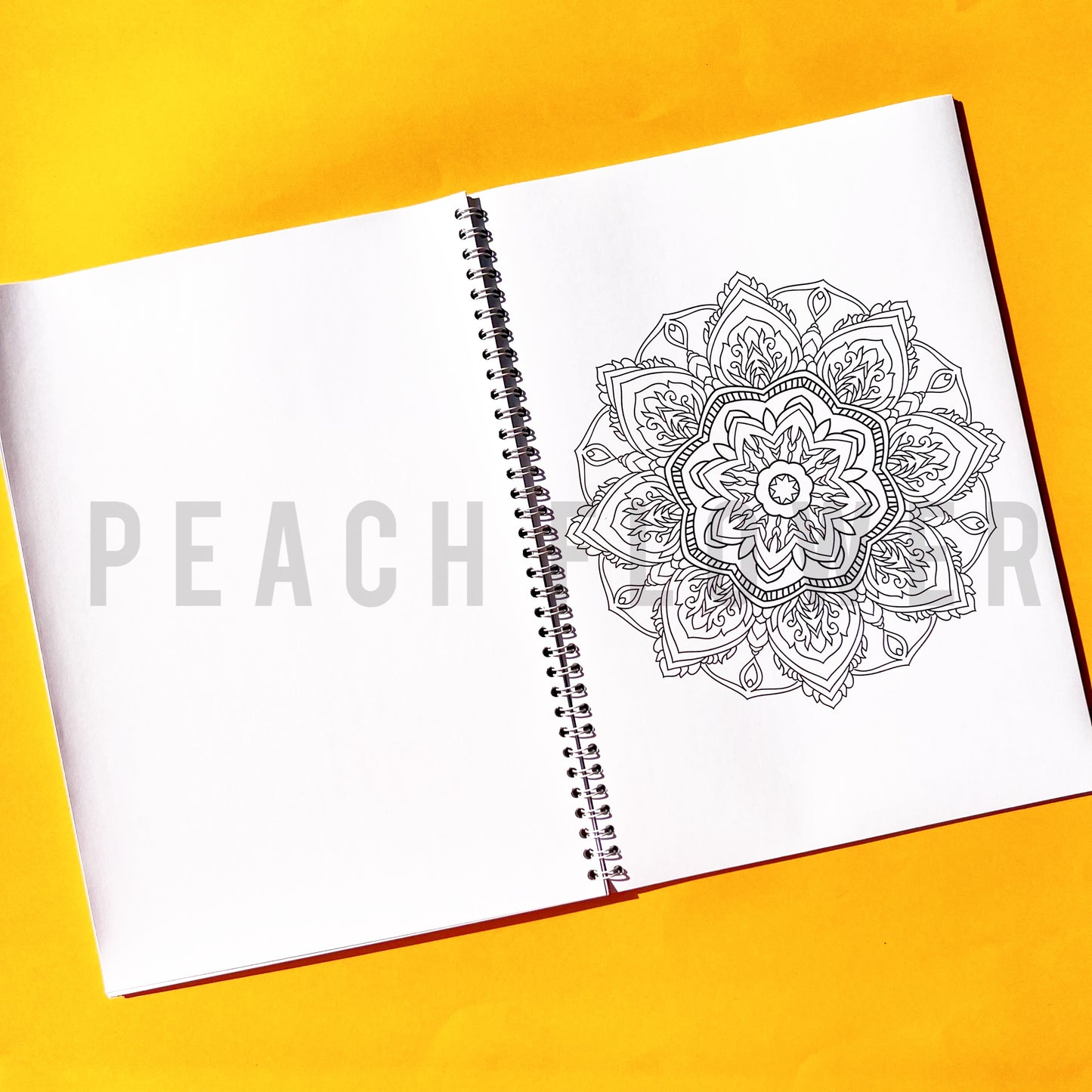 Adult Coloring Book: Mandala Version 2 in 1