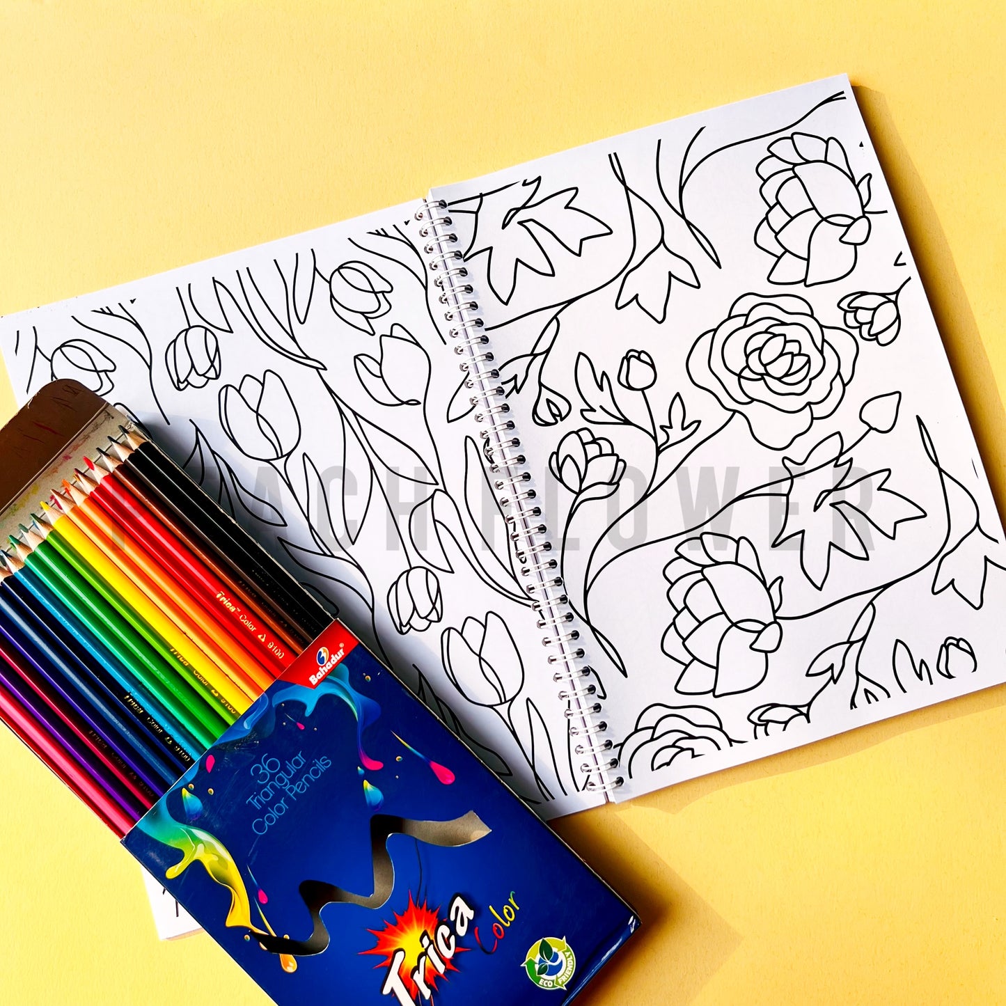 Adult Coloring Book Volume II