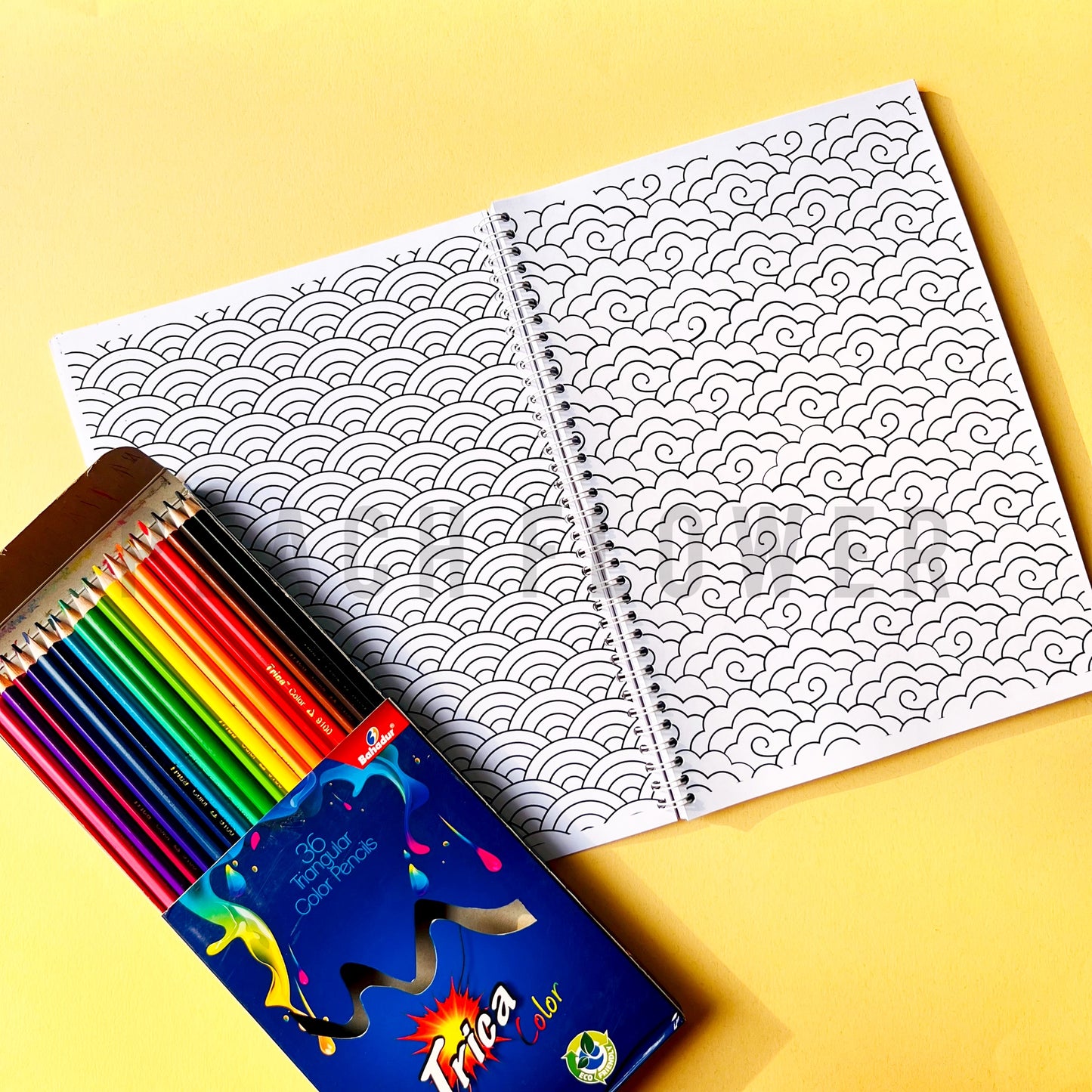 Adult Coloring Book Volume II