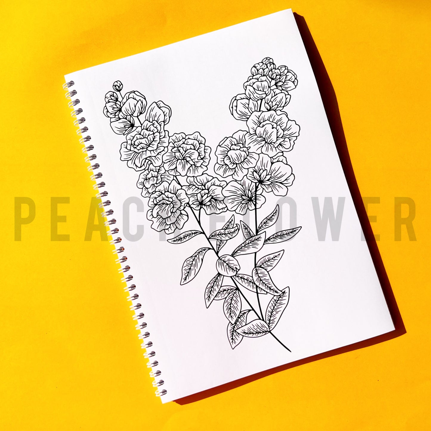 Adult Coloring Book: Nature Version 2 in 1