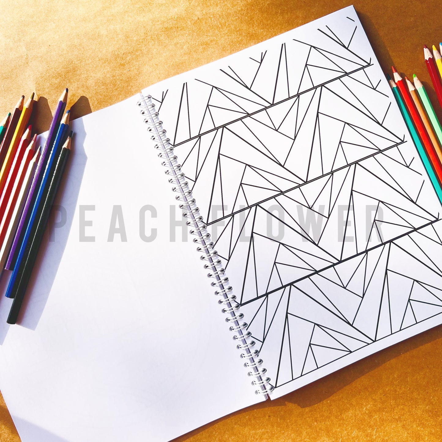 Adult Coloring Book: Pattern Version 2 in 1