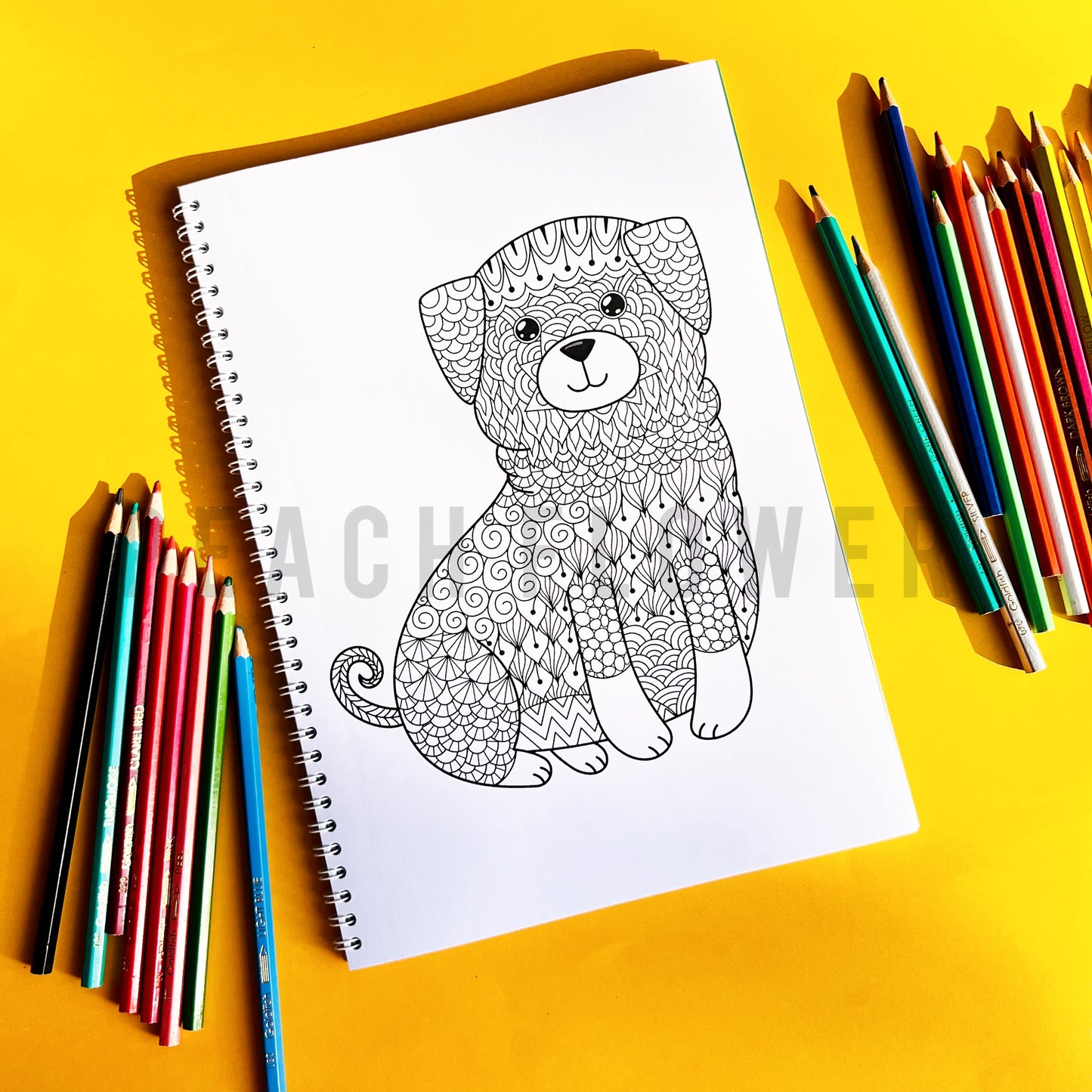 Adult Coloring Book: Animal Version 2 in 1