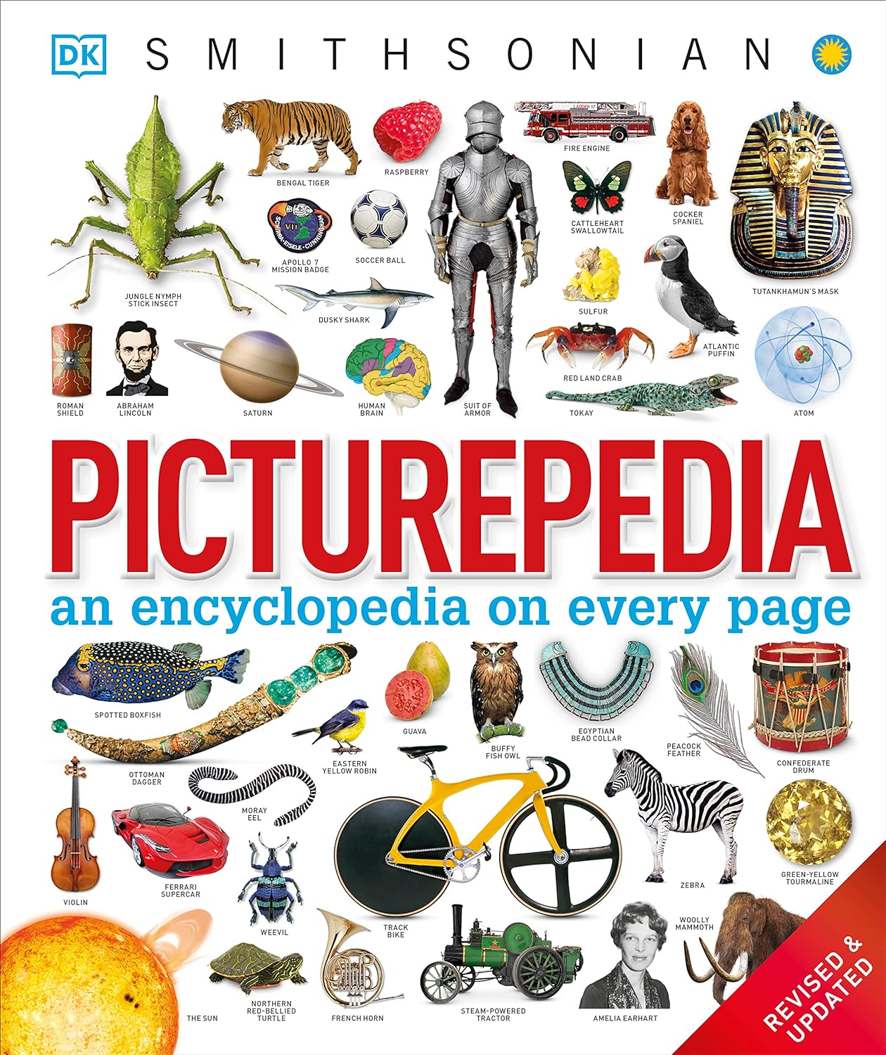 Picturepedia, Second Edition: An Encyclopedia on Every Page - BFK