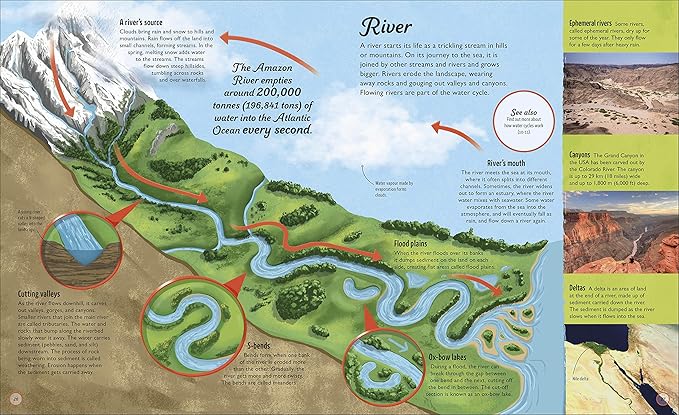 Water Cycles (DK Life Cycles) - BFK