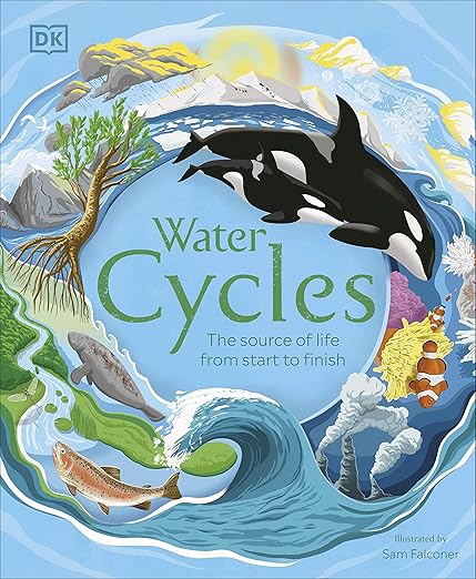 Water Cycles (DK Life Cycles) - BFK