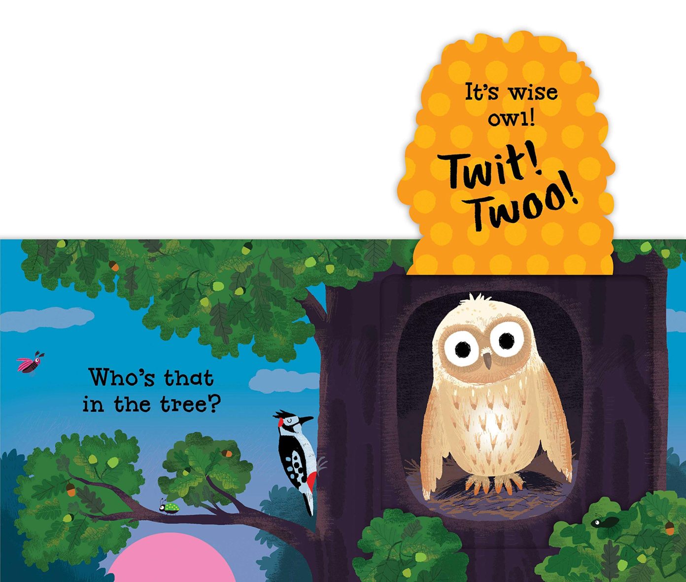 Can You Say It, Too? Twit! Twoo! (Board Book) – Lift the flap - BFK