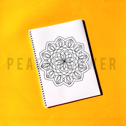 Adult Coloring Book: Mandala Version 2 in 1